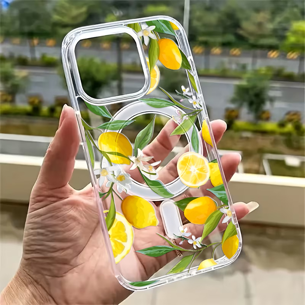Летний чехол для телефона с ли – обзор и цена Clear Magsafe Case